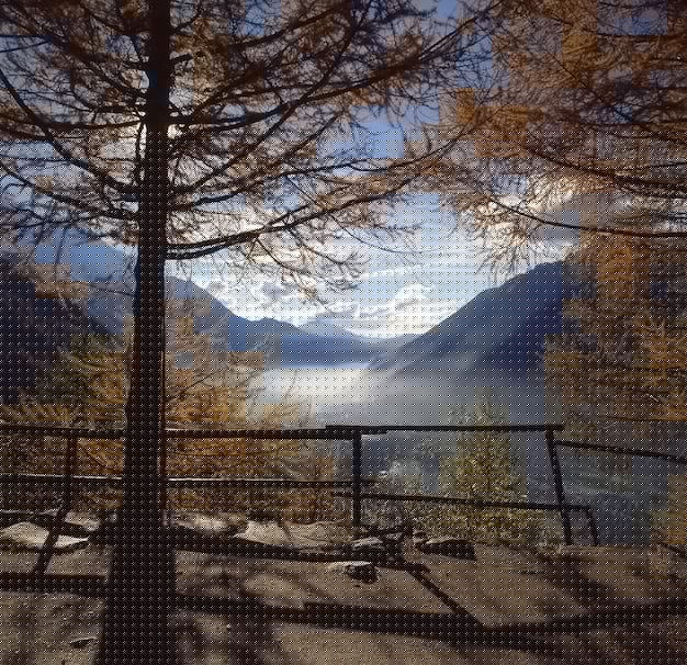 WPS下载支持论文排版吗?2025年最新功能解析! WPS下载支持论文排版吗?2025年最新功能解析! 一