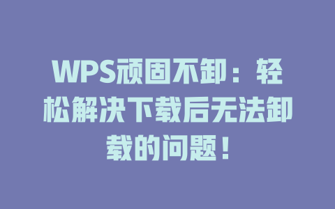 WPS顽固不卸：轻松解决下载后无法卸载的问题！ 二