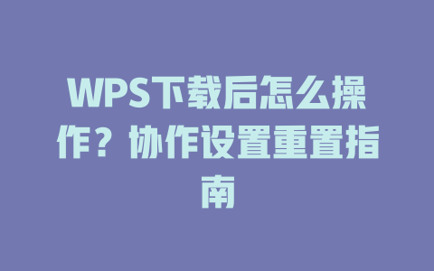 WPS下载后怎么操作？协作设置重置指南 二
