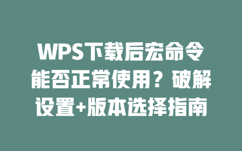 WPS下载后宏命令能否正常使用？破解设置+版本选择指南 二