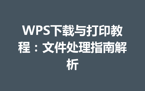 WPS下载与打印教程：文件处理指南解析 二