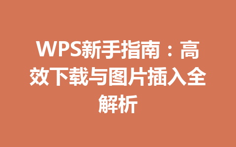 WPS新手指南：高效下载与图片插入全解析 二