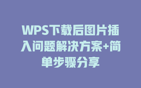 WPS下载后图片插入问题解决方案+简单步骤分享 二
